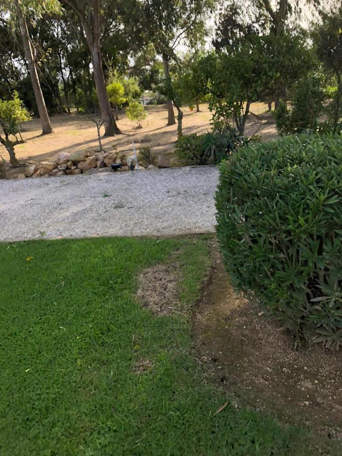 Quinta Verde Αλμπουφέιρα Εξωτερικό φωτογραφία