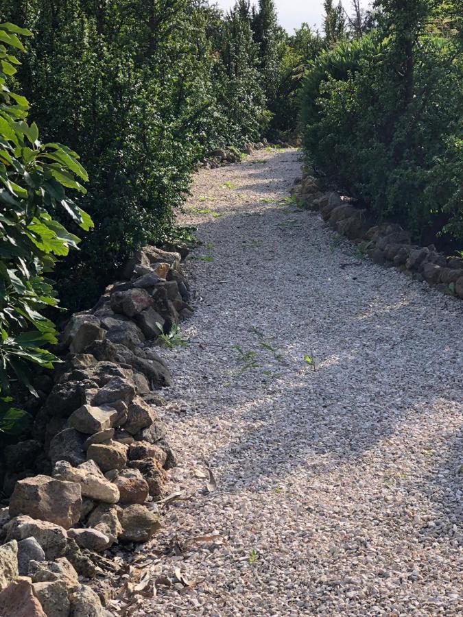 Quinta Verde Αλμπουφέιρα Εξωτερικό φωτογραφία