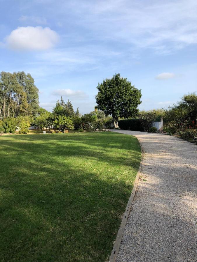 Quinta Verde Αλμπουφέιρα Εξωτερικό φωτογραφία